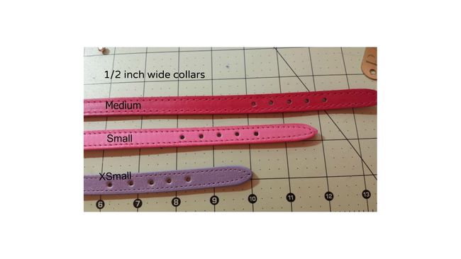 Rainbow crystal dog collar showing adjustable holes and sizing