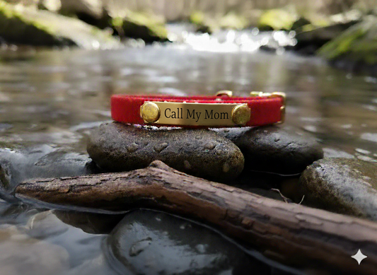 Puppy Collar Waterproof