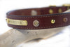 Winchester Leather Collar