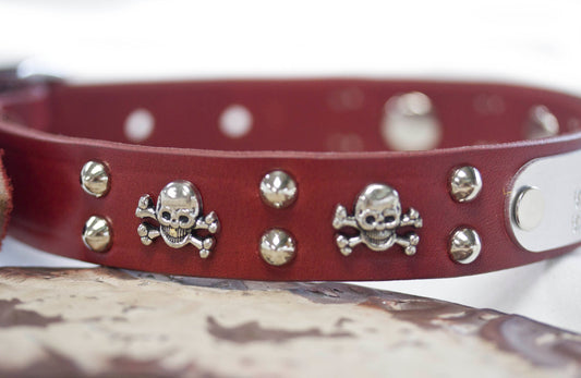 Gothic Dog Collar