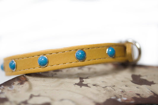 Southwest Leather Collar