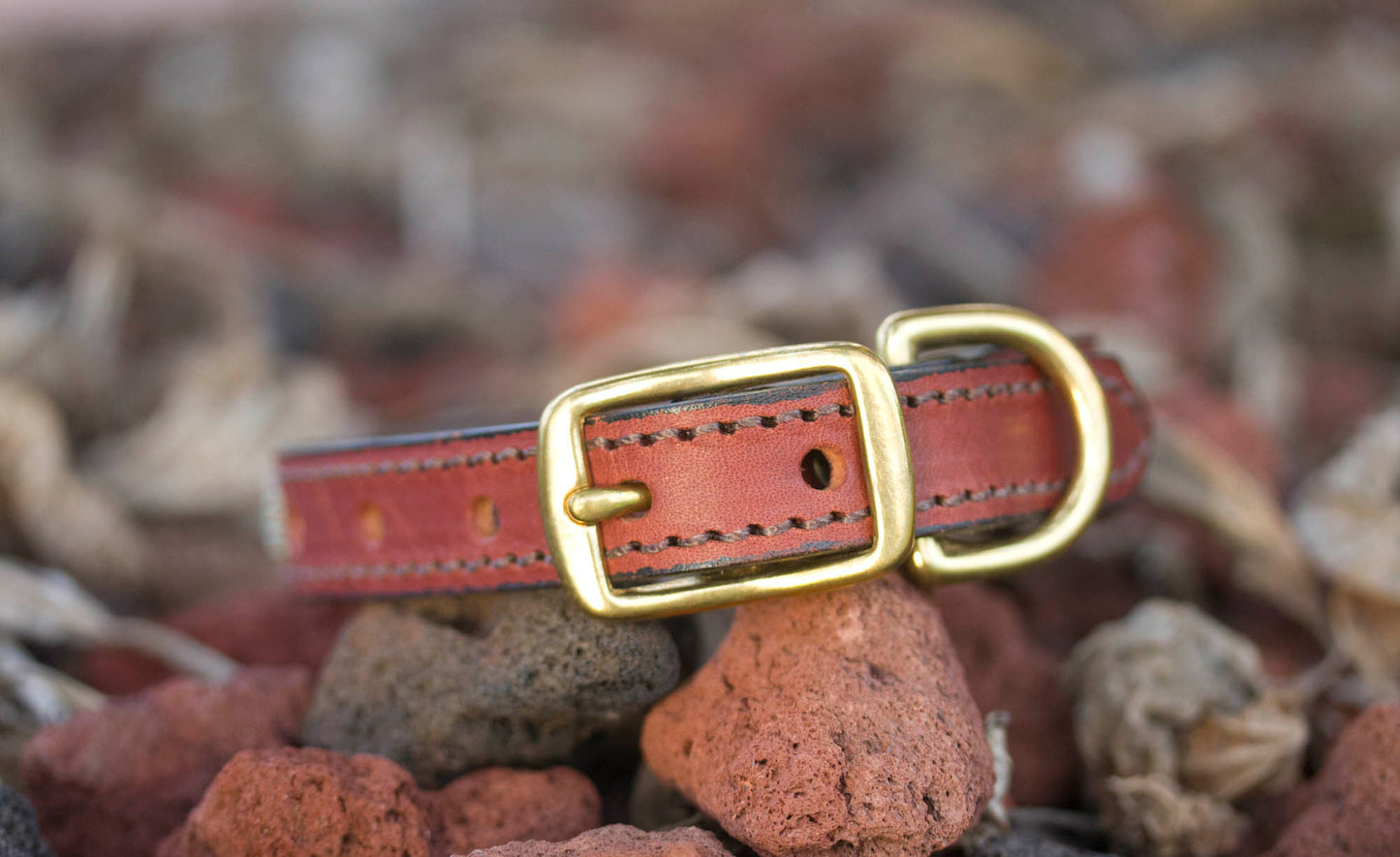 Southwest Dog Collar