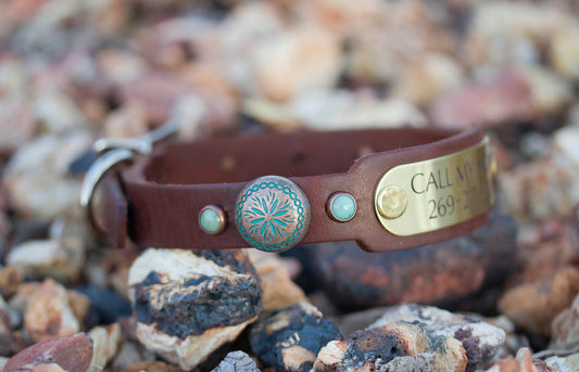 Southwest Turquoise Patina Collar