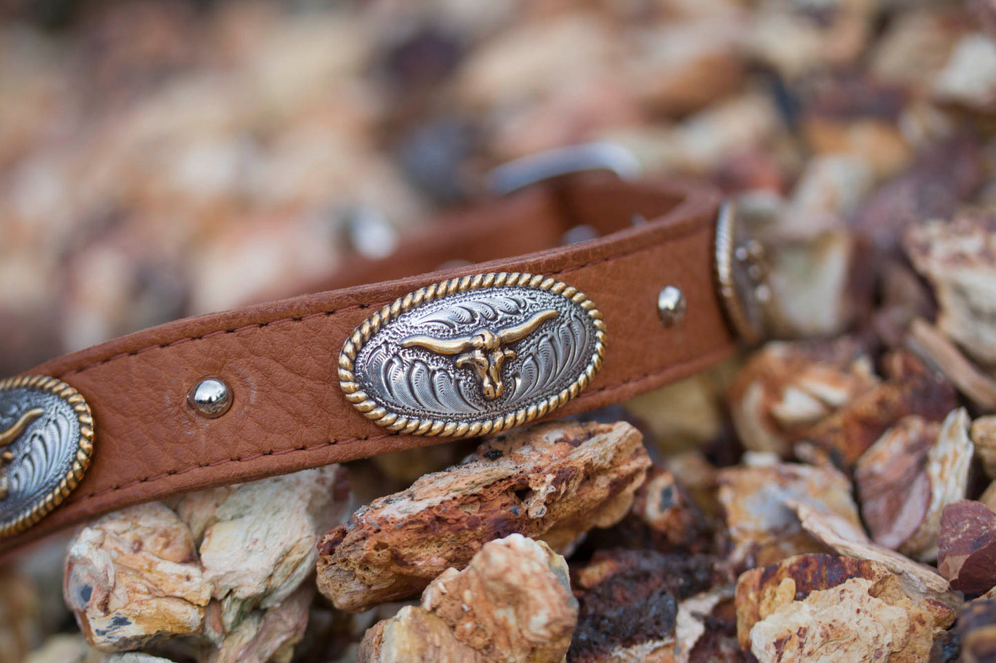 Texas Longhorn Dog Collar