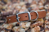 Texas Longhorn Dog Collar
