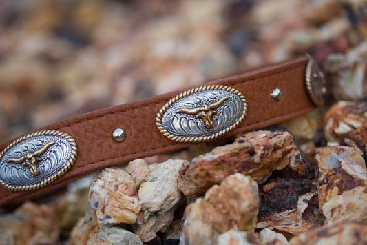 Texas Longhorn Dog Collar
