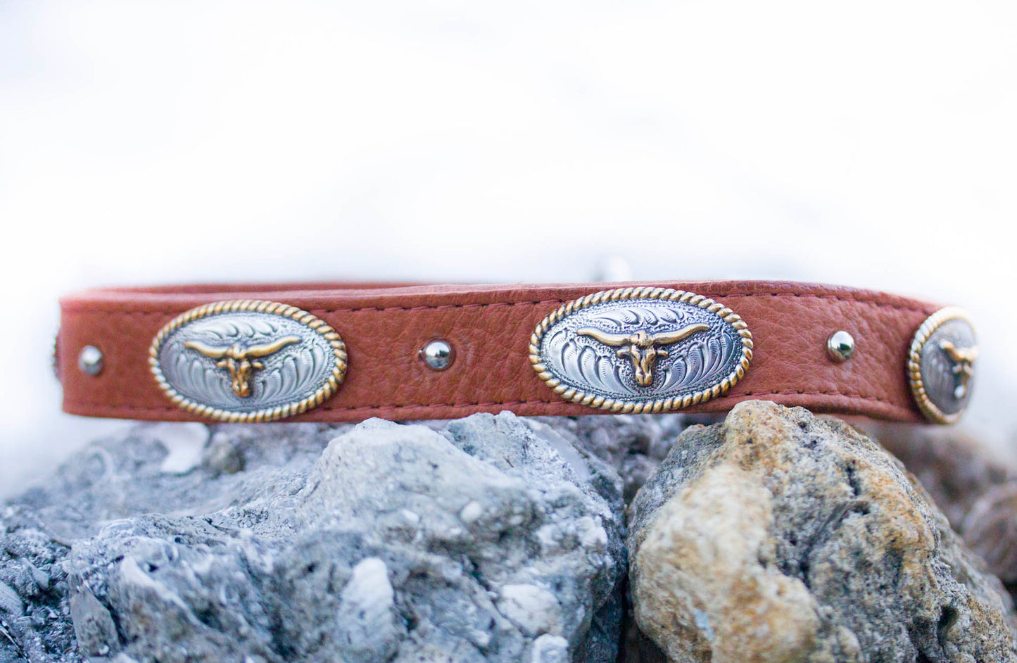 Texas Longhorn Dog Collar