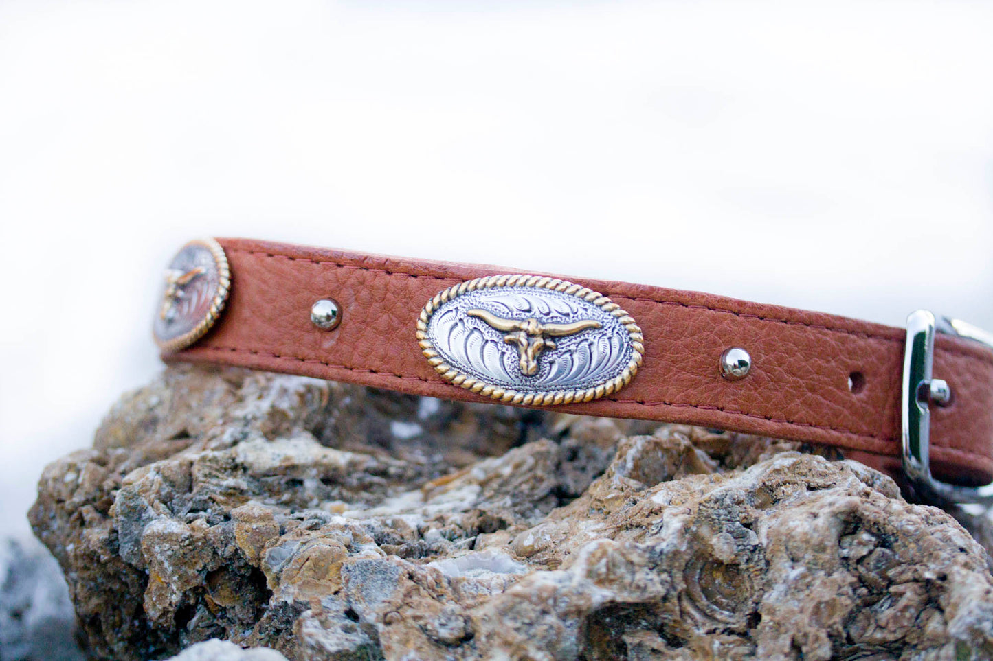 Texas Longhorn Dog Collar