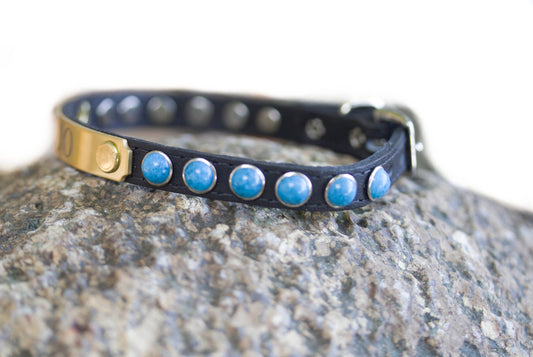 Native Turquoise Leather Collar