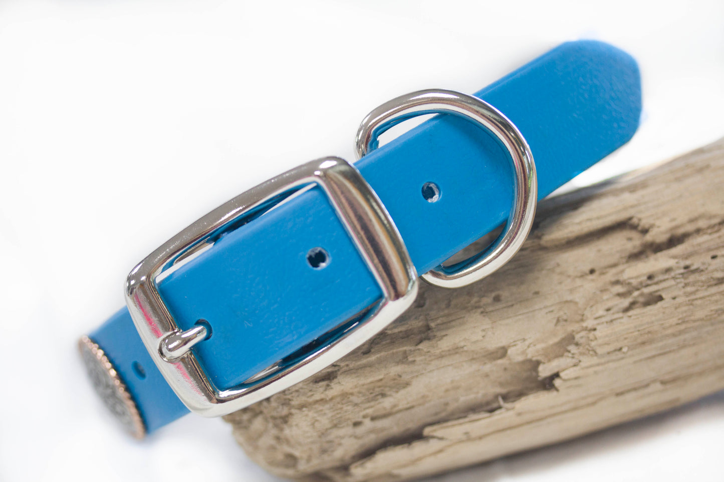 Waterproof Vegan Concho Collar