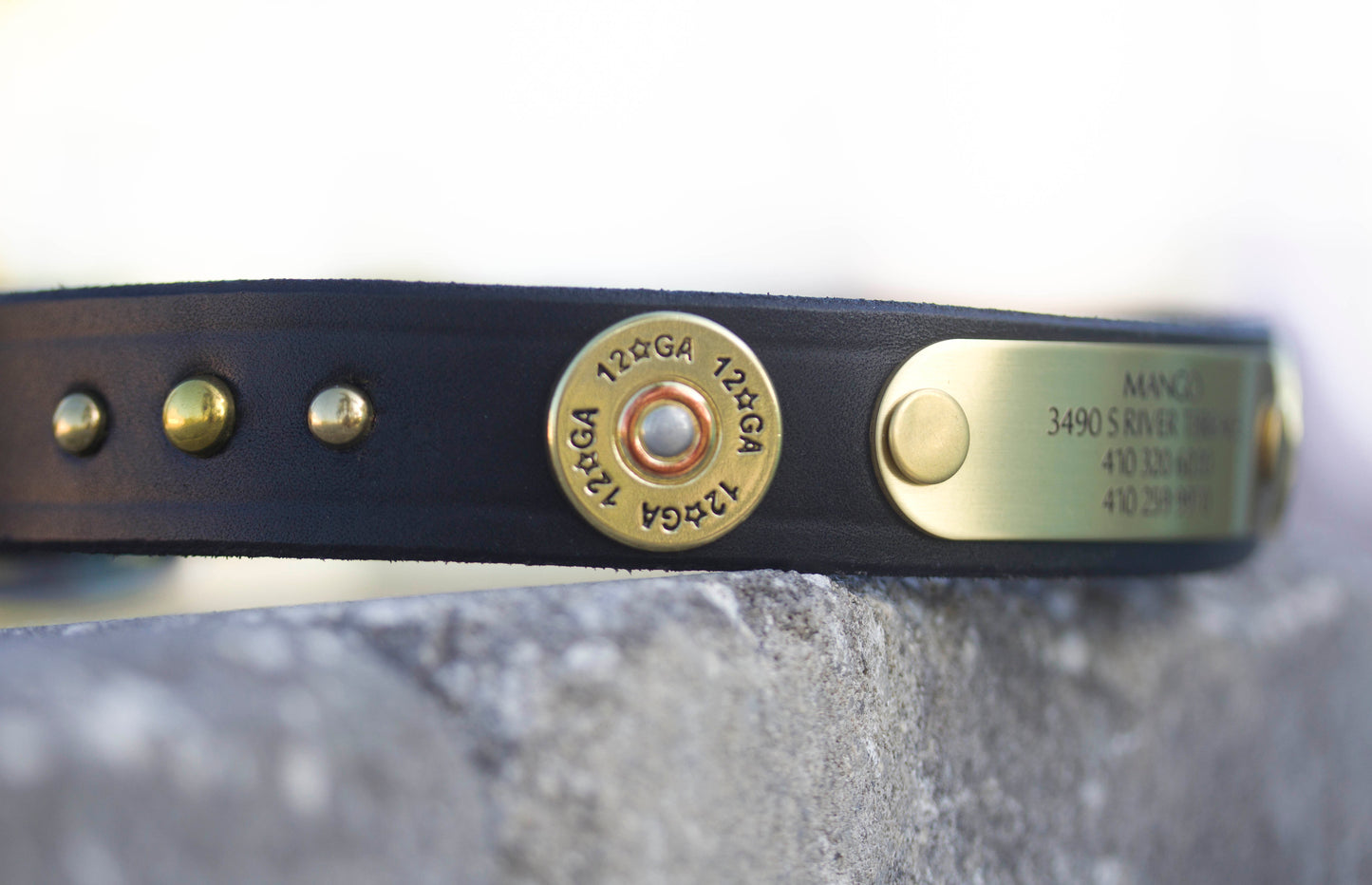 Dog Collar Shotgun 12 Gauge