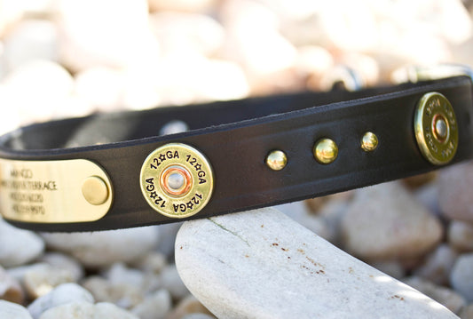 Dog Collar Shotgun 12 Gauge