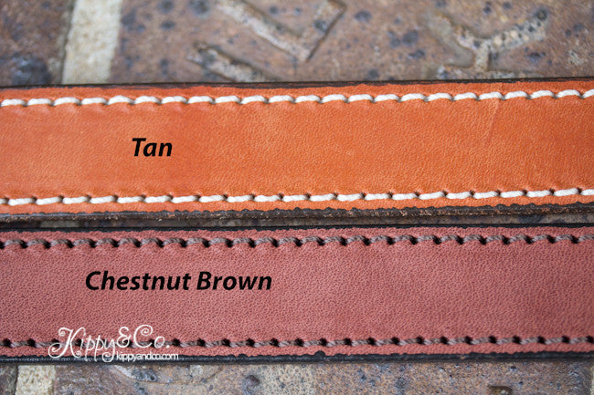 12 Guage Shotgun Shell Concho Dog Collar with Engraved Brass Name Plate