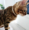 Cat Crystal Pet Collar Leather