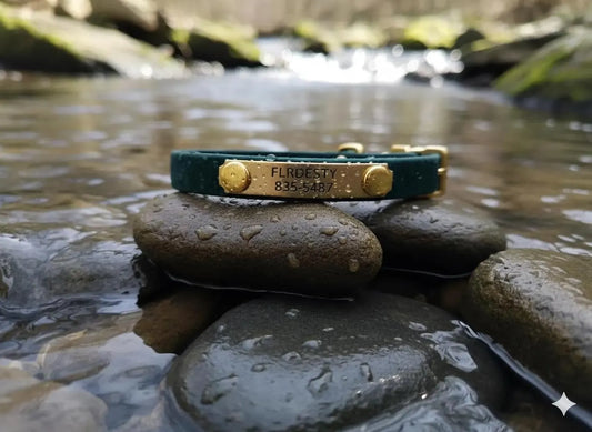 Waterproof Puppy Collar