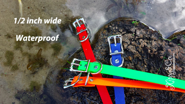 Waterproof 1/2 inch Dog Collar With Personalized Engraved Name Plate