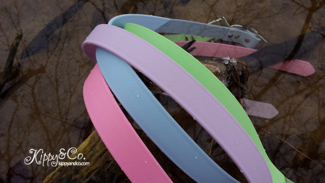 Waterproof Dog Collar in Pastel Colors With Engraved Name Plate