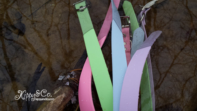Waterproof Dog Collar in Pastel Colors With Engraved Name Plate