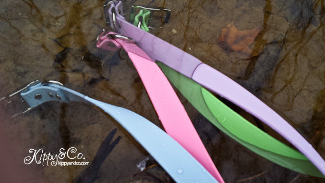 Waterproof Dog Collar in Pastel Colors With Engraved Name Plate