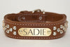 Studded Leather Collar With Enraved Brass or Silver Name Plate