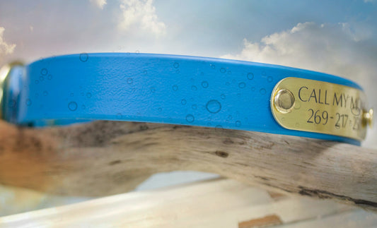Bahama Blue waterproof dog collar with personalized name plate