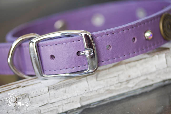 Personalized Leather Collar with 12 Gauge Shotgun Shell Conchos and Crystals