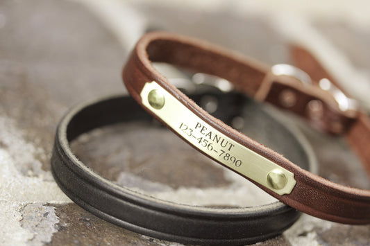 1/2 inch leather dog collar with name plate