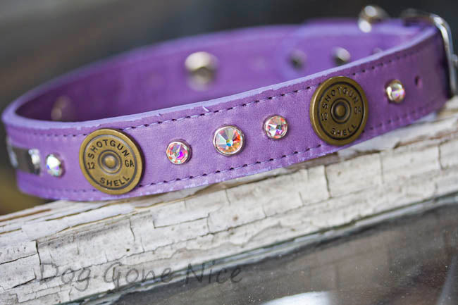 Sporting 12 Gauge Dog Collar