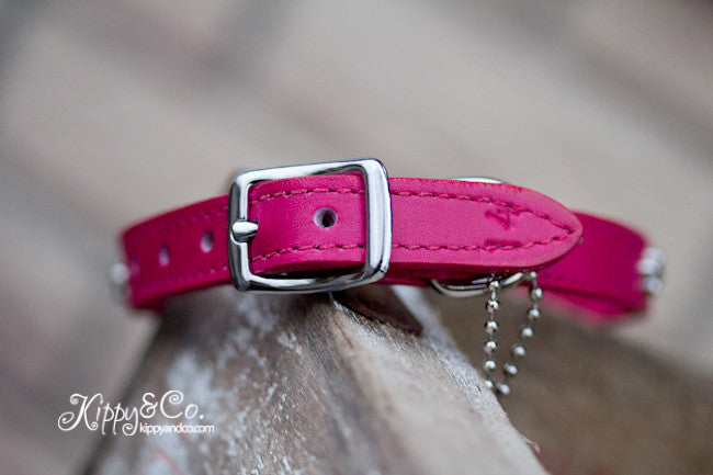 1/2 inch wide leather collar with silver bones