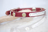 Leather Dog Collar with Personalized name plate and Winchester conchos
