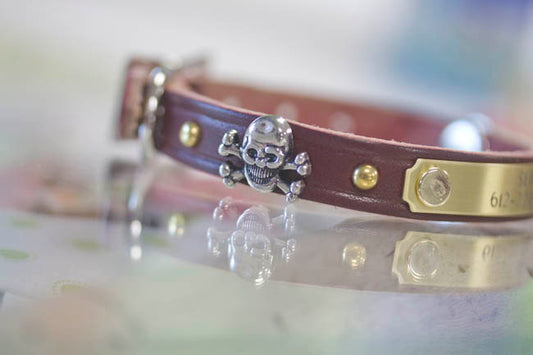 Personalized Leather Collar with Skull Crossbones and brass spots 1/2 inch wide