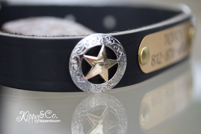 Texas Star Leather Dog Collar With Engraved Brass Name Plate