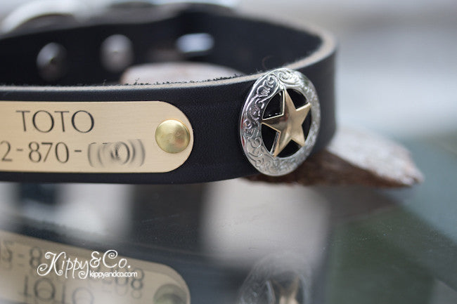 Texas Star Leather Dog Collar With Engraved Brass Name Plate