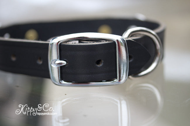 Texas Star Leather Dog Collar With Engraved Brass Name Plate