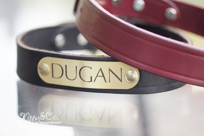 Personalized Leather Dog Collar With Engraved Name Plate