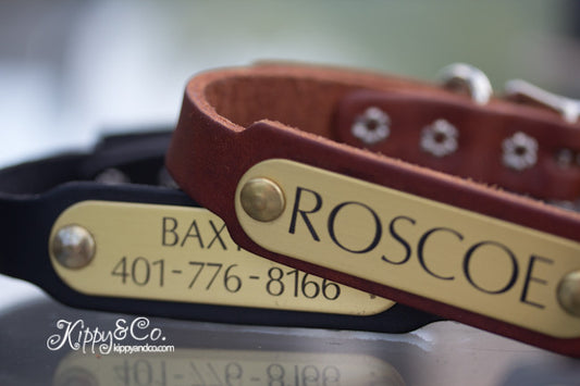 Personalized Leather Dog Collar With a Brass or Silver Name Plate