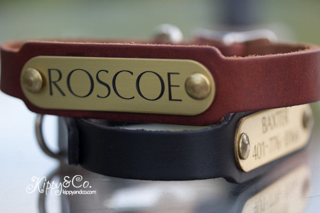 Personalized Leather Dog Collar With a Brass or Silver Name Plate