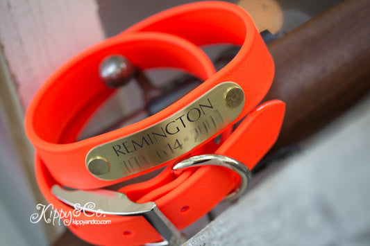 Bright Orange Hunting Dog Collar With Engraved Name