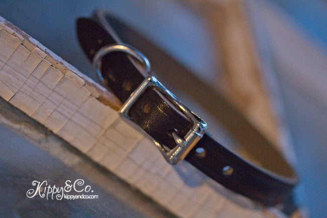 Small Dog 1/2 inch wide Leather Collar With Engraved Name Plate and Silver Cone Studs