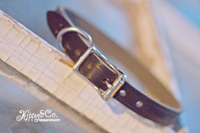 Personalized Wedding Dog Collar With Will You Marry Me Brass Name Plate