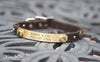 Small Pet Collar With 12 Gauge Conchos, Silver Spots and a Personalized Engraved Name Plate
