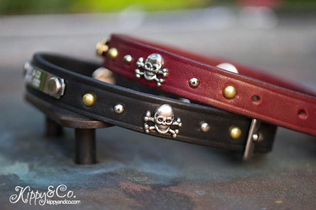 Leather dog collar with skull and cross bones, brass and nickel spots and brass spots, personalized name plate
