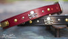 Leather dog collar with skull and cross bones, brass and nickel spots and brass spots, personalized name plate