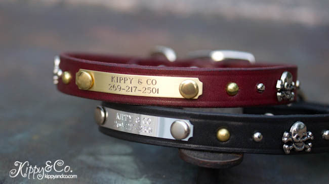 Leather dog collar with skull and cross bones, brass and nickel spots and brass spots, personalized name plate