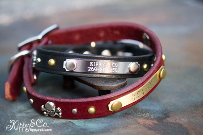 Leather dog collar with skull and cross bones, brass and nickel spots and brass spots, personalized name plate