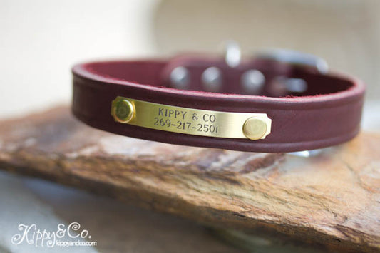 Leather Dog Collar With Personalized Name Plate