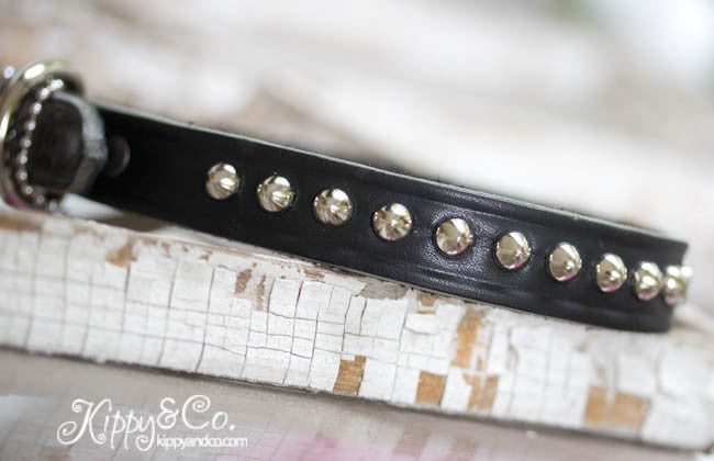 Leather Dog Collar with Personalized Name Plate and silver cone studs