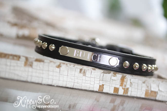 Leather Dog Collar with Personalized Name Plate and silver cone studs