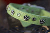 Bright Green Leather Dog Collar With Silver Paws and Peridot Swarovski Crystals