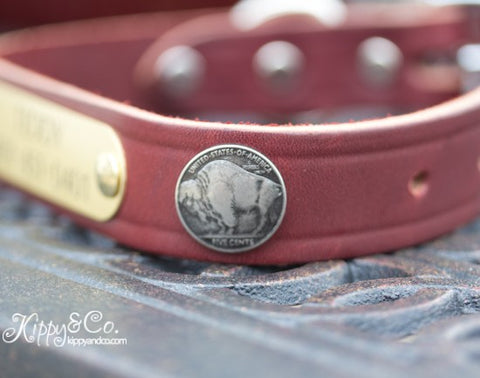 Leather Buffalo Concho Dog Collar